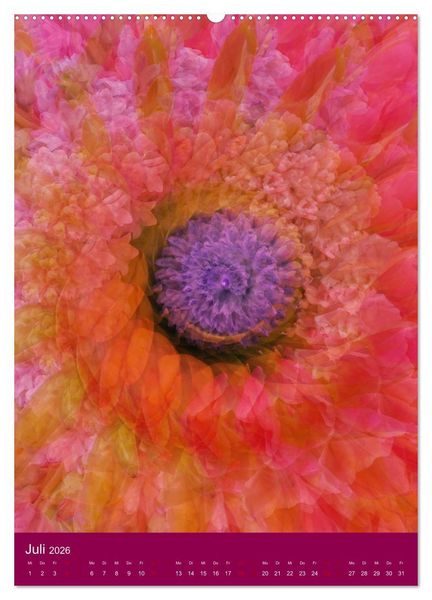 Produktbild: Meditative Pflanzenmandalas (hochwertiger Premium Wandkalender 2026 DIN A2 hoch), Kunstdruck in Hochglanz