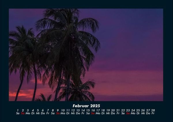 Produktbild: Palmen 2025 Fotokalender DIN A4