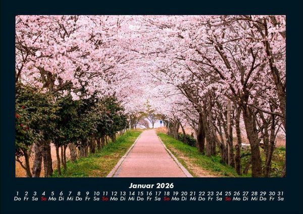 Produktbild: B&auml;ume 2026 Fotokalender DIN A4