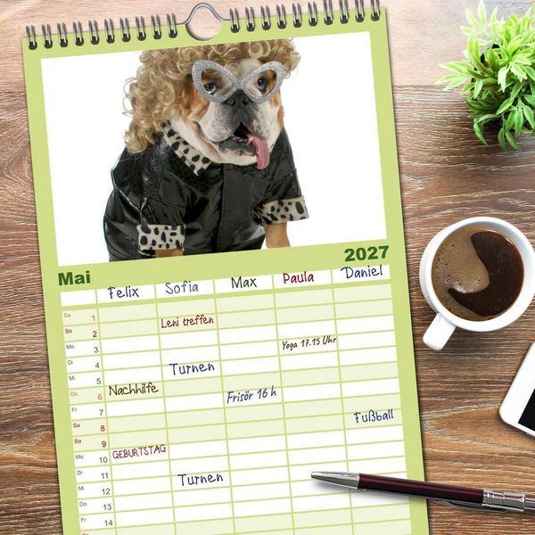 Produktbild: Familienplaner 2027 - English Bulldog XXL Models mit 5 Spalten (Wandkalender, 21 x 45 cm) CALVENDO