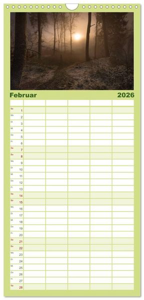 Produktbild: Familienplaner 2026 - Mysterium Wald mit 5 Spalten (Wandkalender, 21 x 45 cm) CALVENDO