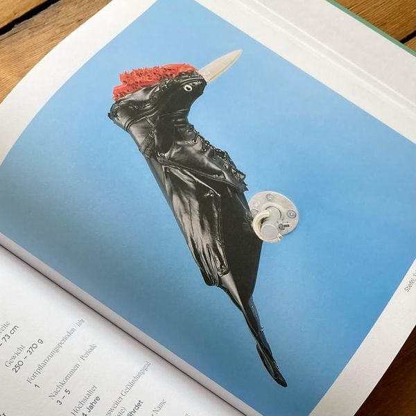 Produktbild: T&ouml;nende Tiere