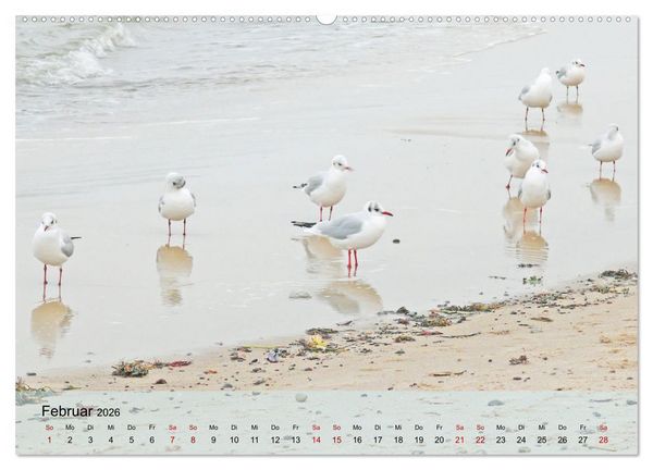 Produktbild: Ostseebad K&uuml;hlungsborn. Erholung mit allen Sinnen (hochwertiger Premium Wandkalender 2026 DIN A2 quer), Kunstdruck in Hochglanz