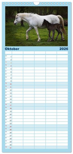 Produktbild: Familienplaner 2026 - Wei&szlig;e Pferde der Camargue in Bayern mit 5 Spalten (Wandkalender, 21 x 45 cm) CALVENDO