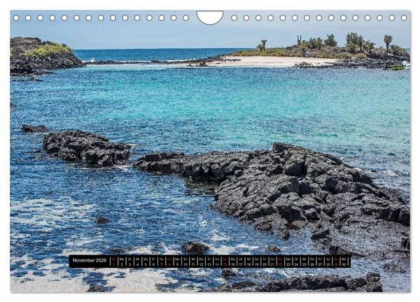 Produktbild: Galapagos- Landschaften (Wandkalender 2026 DIN A4 quer), CALVENDO Monatskalender
