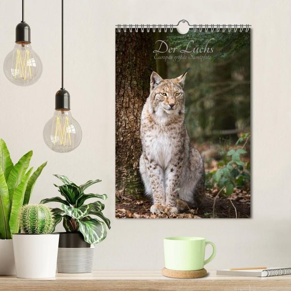 Produktbild: Der Luchs - Europas gr&ouml;&szlig;te Samtpfote (Wandkalender 2026 DIN A4 hoch), CALVENDO Monatskalender