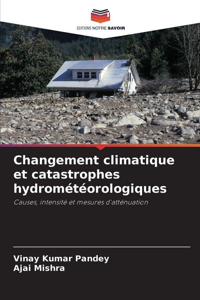 Produktbild: Changement climatique et catastrophes hydrom&eacute;t&eacute;orologiques