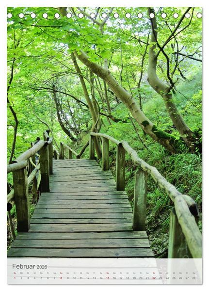 Produktbild: Im Nationalpark Jasmund - Naturwunder auf der Ostseeinsel R&uuml;gen (Tischkalender 2026 DIN A5 hoch), CALVENDO Monatskalender