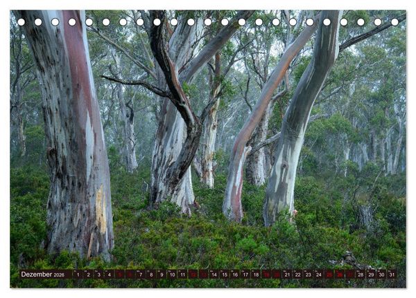 Produktbild: Traumpfade Australien (Tischkalender 2026 DIN A5 quer), CALVENDO Monatskalender