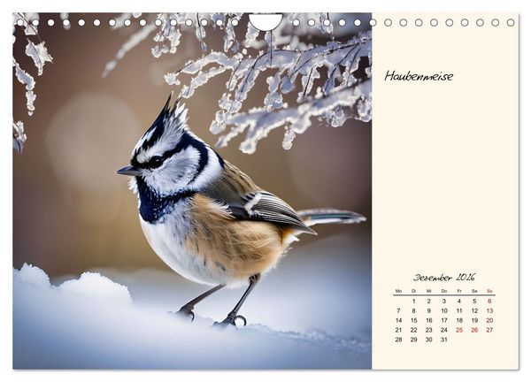 Produktbild: Meisen richtig erkennen (Wandkalender 2026 DIN A4 quer), CALVENDO Monatskalender
