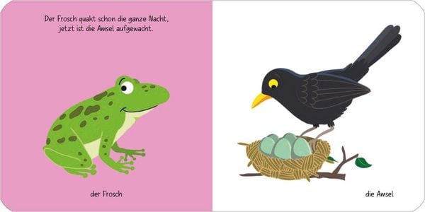 Produktbild: Kennst du das? Babys erstes Bildw&ouml;rterbuch. Jeden Tag ein neues Tier
