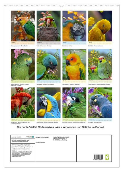 Produktbild: Die bunte Vielfalt S&uuml;damerikas - Aras, Amazonen und Sittiche im Portrait (Wandkalender 2026 DIN A2 hoch), CALVENDO Monatskalender