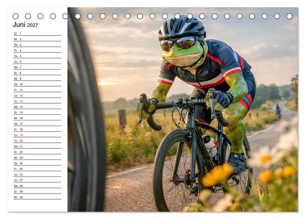 Produktbild: Sportfrosch (Tischkalender 2027 DIN A5 quer), CALVENDO Monatskalender