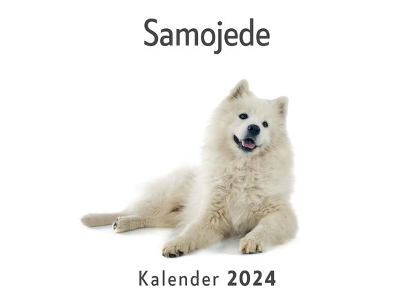 Produktbild: Samojede (Wandkalender 2024, Kalender DIN A4 quer, Monatskalender im Querformat mit Kalendarium, Das perfekte Geschenk)