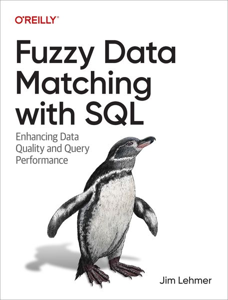 Produktbild: Fuzzy Data Matching with SQL
