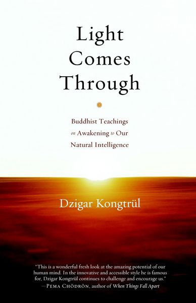 Produktbild: Light Comes Through