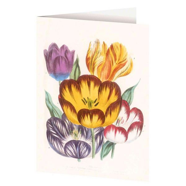 Produktbild: 4er-Set Doppelkarten &raquo;Blumengr&uuml;&szlig;e&laquo; mit Motiven von Jane C. Loudon