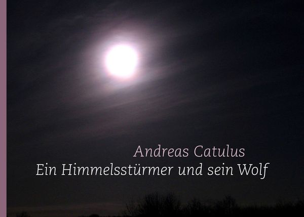 Produktbild: Ein Himmelsst&uuml;rmer und sein Wolf