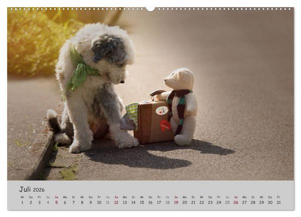 Produktbild: Ein Bobtail namens Miles (Wandkalender 2026 DIN A2 quer), CALVENDO Monatskalender