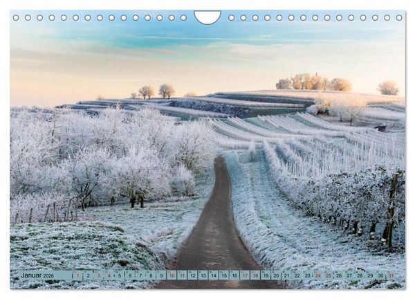 Produktbild: Zauberhafte Ortenau (Wandkalender 2026 DIN A4 quer), CALVENDO Monatskalender