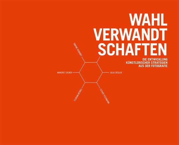 Produktbild: Wahlverwandtschaften