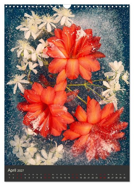 Produktbild: Magische Eisblumen (Wandkalender 2027 DIN A3 hoch), CALVENDO Monatskalender