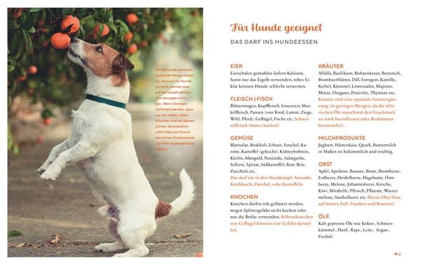 Produktbild: Gesund & lecker: Kochen f&uuml;r den Hund