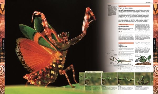 Produktbild: Tiere