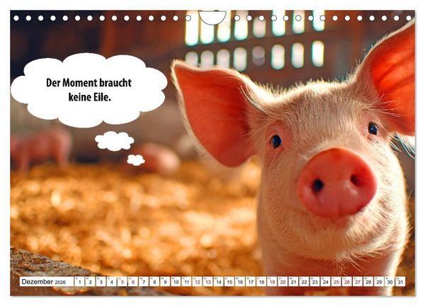 Produktbild: Stille Pfoten, weise Worte - Tiere zeigen dir den Weg zu mehr Gelassenheit (Wandkalender 2026 DIN A4 quer), CALVENDO Monatskalender