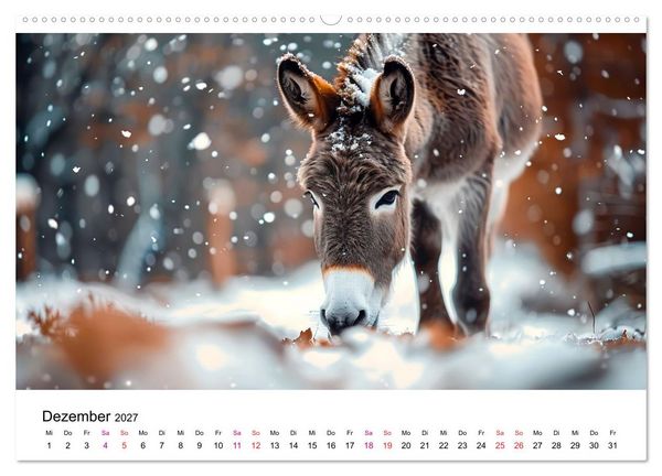Produktbild: Esel - neugierige Typen (hochwertiger Premium Wandkalender 2027 DIN A2 quer), Kunstdruck in Hochglanz