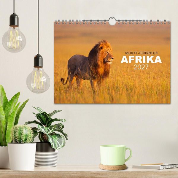 Produktbild: Afrika Wildlife-Fotografien (Wandkalender 2027 DIN A4 quer), CALVENDO Monatskalender