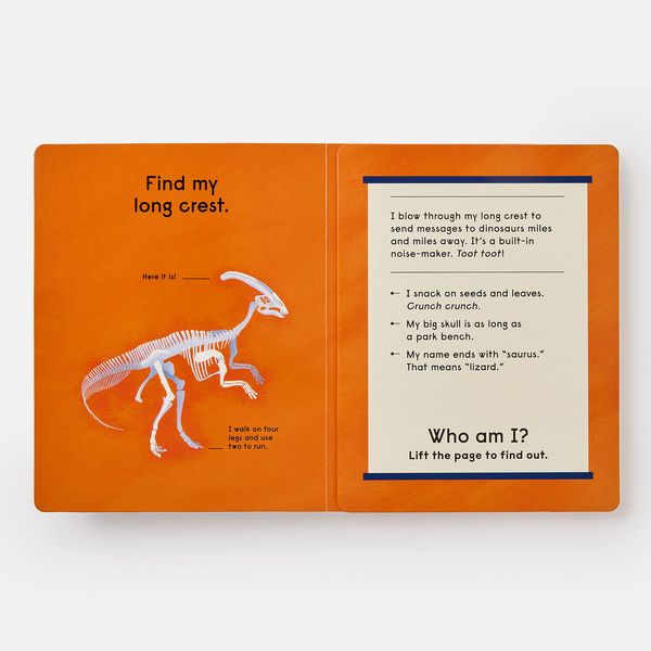 Produktbild: Who's That Dinosaur? An Animal Guessing Game