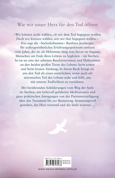 Produktbild: Im Sturm lernt das Herz fliegen