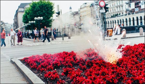 Produktbild: Flowers!