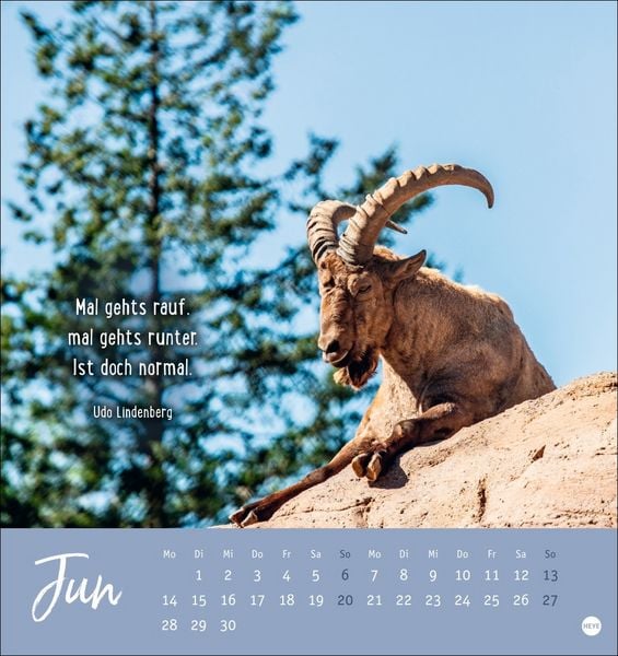 Produktbild: Never give up! Postkartenkalender 2027 - Durchhalten. Denn alles wird gut.