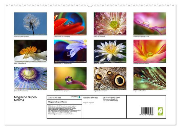 Produktbild: Magische Super-Makros (hochwertiger Premium Wandkalender 2026 DIN A2 quer), Kunstdruck in Hochglanz