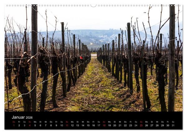 Produktbild: Das Jahr im Weinberg (hochwertiger Premium Wandkalender 2026 DIN A2 quer), Kunstdruck in Hochglanz