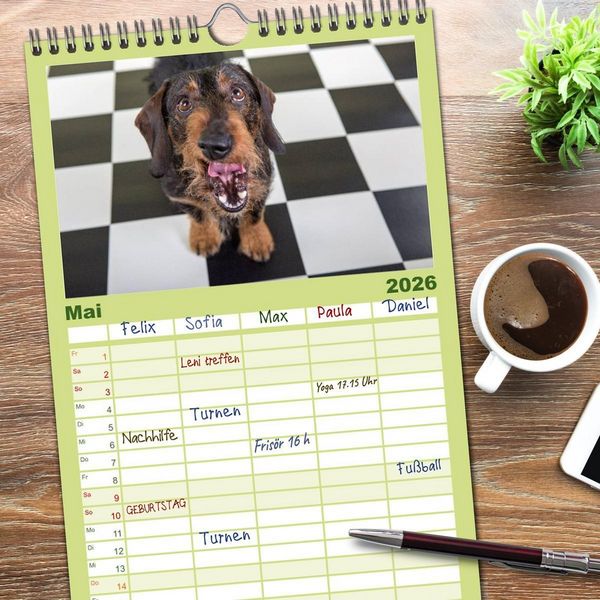 Produktbild: Familienplaner 2026 - DACKEL DACHSHUND TECKEL 2026 mit 5 Spalten (Wandkalender, 21 x 45 cm) CALVENDO
