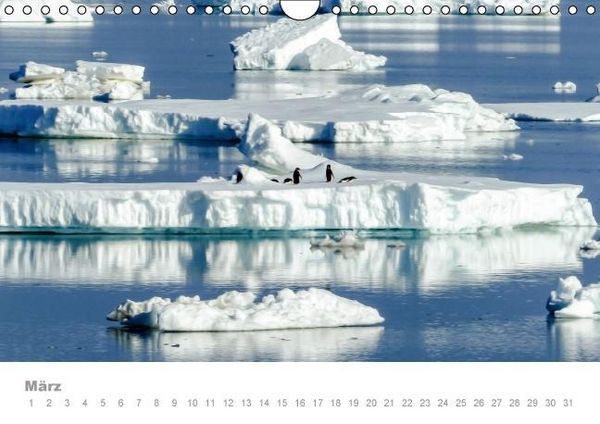 Produktbild: ANTARKTIS (Wandkalender immerw&auml;hrend DIN A4 quer)