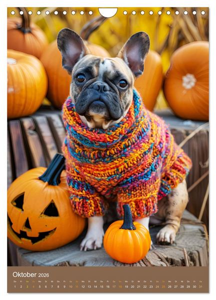 Produktbild: Frenchie Couture - Franz&ouml;sische Bulldoggen in Strick-Chic (Wandkalender 2026 DIN A4 hoch), CALVENDO Monatskalender