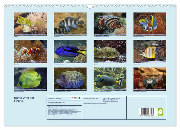 Produktbild: Bunte Welt der Fische (Wandkalender 2026 DIN A3 quer), CALVENDO Monatskalender