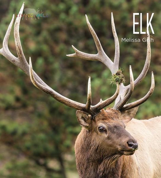 Produktbild: Elk