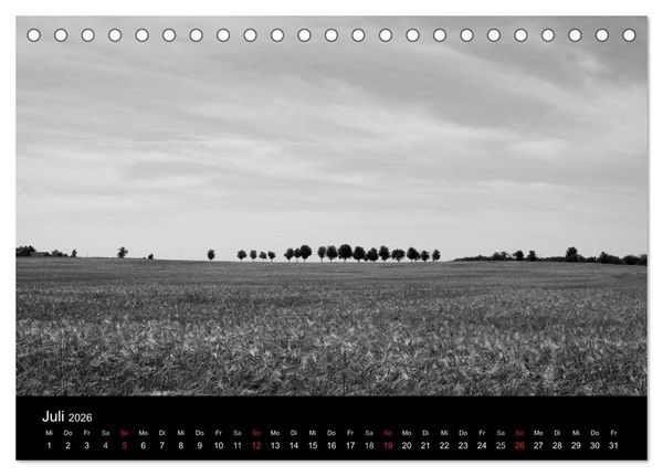 Produktbild: B&auml;ume trees 2026 (Tischkalender 2026 DIN A5 quer), CALVENDO Monatskalender