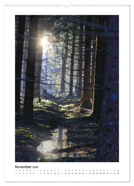 Produktbild: Mein Sehnsuchtsort, der Wald (Wandkalender 2026 DIN A2 hoch), CALVENDO Monatskalender