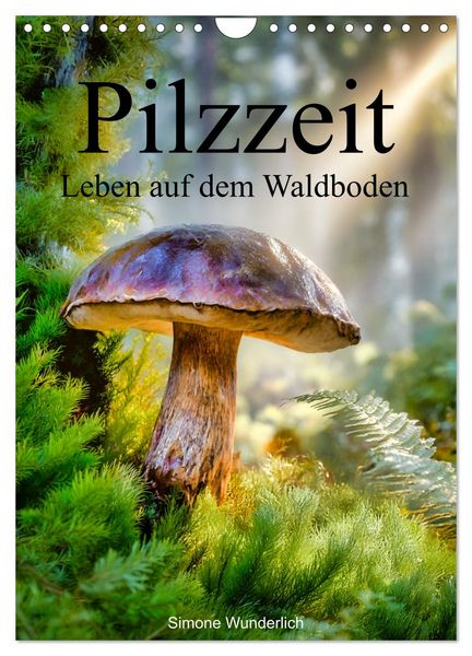Produktbild: Pilzzeit - Leben auf dem Waldboden (Wandkalender 2027 DIN A4 hoch), CALVENDO Monatskalender