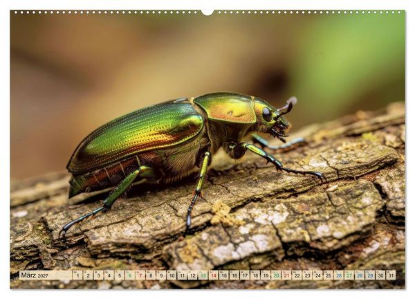 Produktbild: Die buntesten Tiere - Weltweit (Wandkalender 2027 DIN A2 quer), CALVENDO Monatskalender