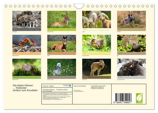 Produktbild: Die lieben Kleinen ... Tierkinder einfach zum Knuddeln (Wandkalender 2026 DIN A4 quer), CALVENDO Monatskalender