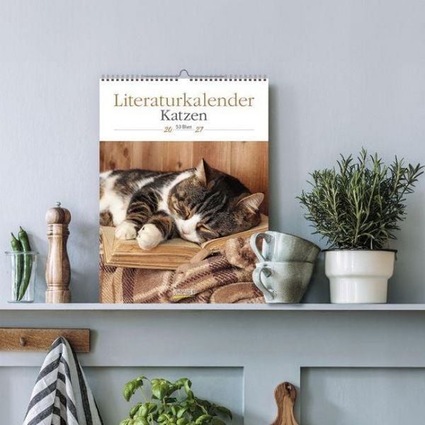 Produktbild: Literaturkalender Katzen 2027