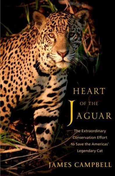 Produktbild: Heart of the Jaguar
