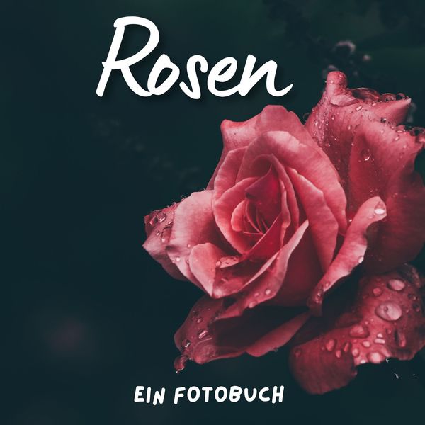 Produktbild: Rosen